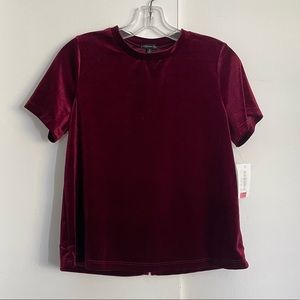 Burgundy Velvet Short Sleeve Top
